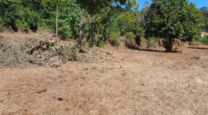 Terrain à bâtir à Oliveira de 5 740 m²