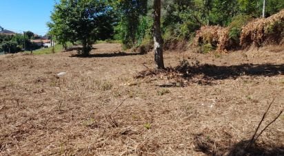 Terrain à bâtir à Oliveira de 5 740 m²