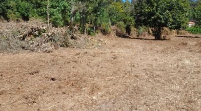 Terrain à bâtir à Oliveira de 5 740 m²