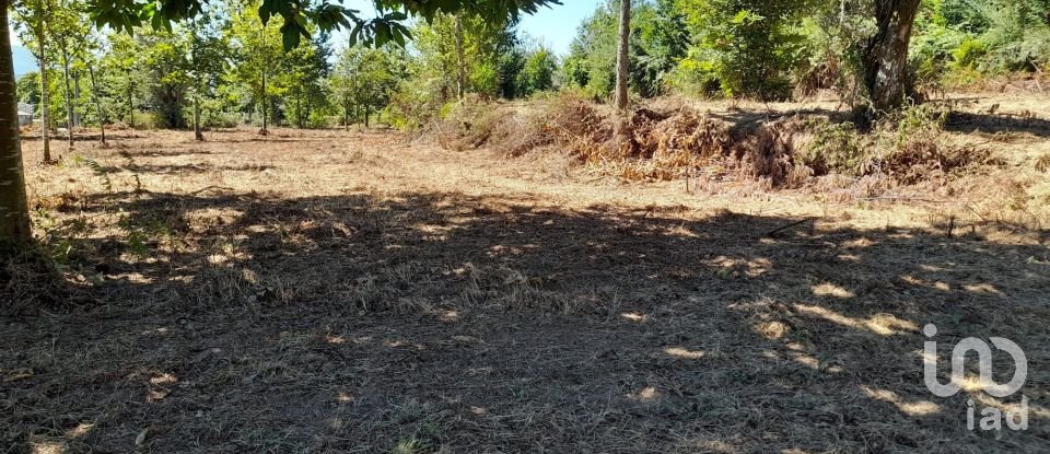 Building land in Oliveira of 17,230 m²