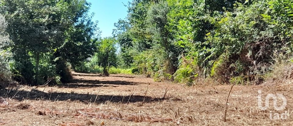 Building land in Oliveira of 17,230 m²