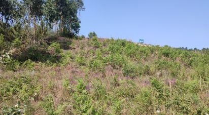 Terrain à bâtir à Arrabal de 812 m²