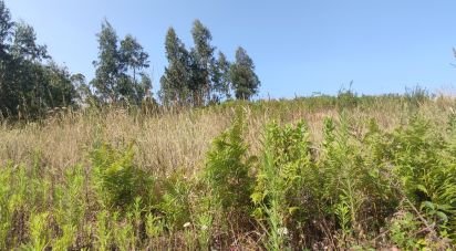 Terrain à bâtir à Arrabal de 812 m²