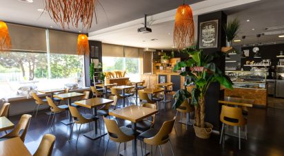 Brasserie-type bar in Belém of 150 m²