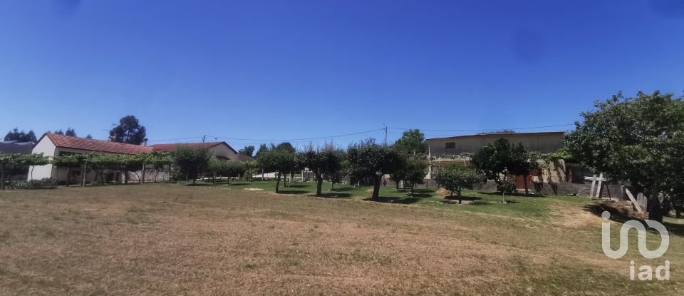 Casa de Campo T4 em Seixas de 288 m²