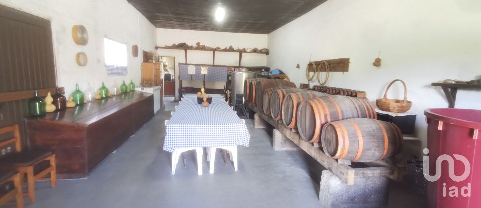 Casa de Campo T4 em Seixas de 288 m²