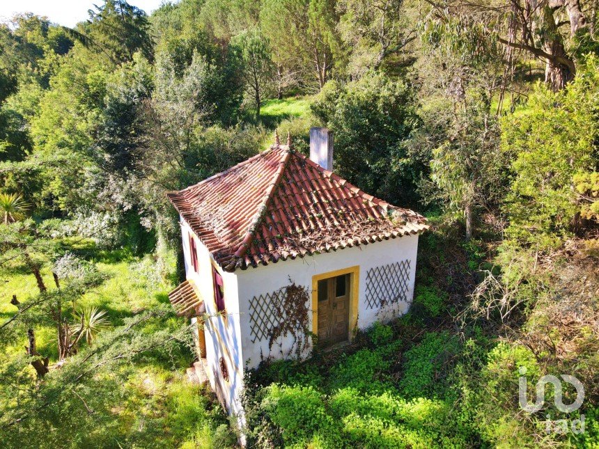 Farm T1 in Cadaval e Pêro Moniz of 80 m²