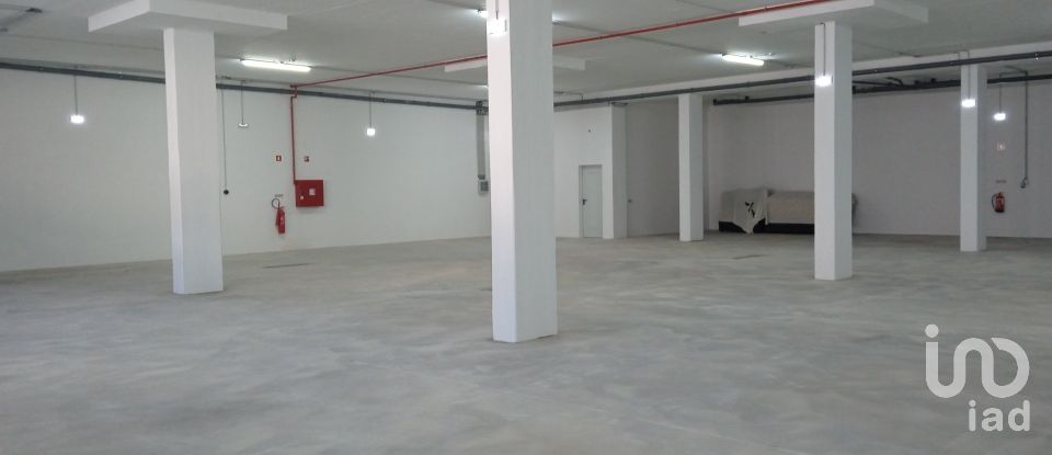 Commercial walls in Estômbar e Parchal of 500 m²
