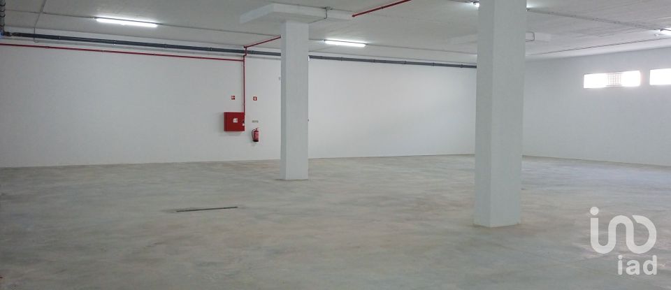 Commercial walls in Estômbar e Parchal of 500 m²