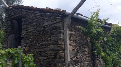 Terrain à Barcos e Santa Leocádia de 5 733 m²