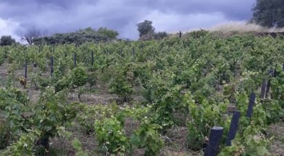 Terrain à Barcos e Santa Leocádia de 5 733 m²