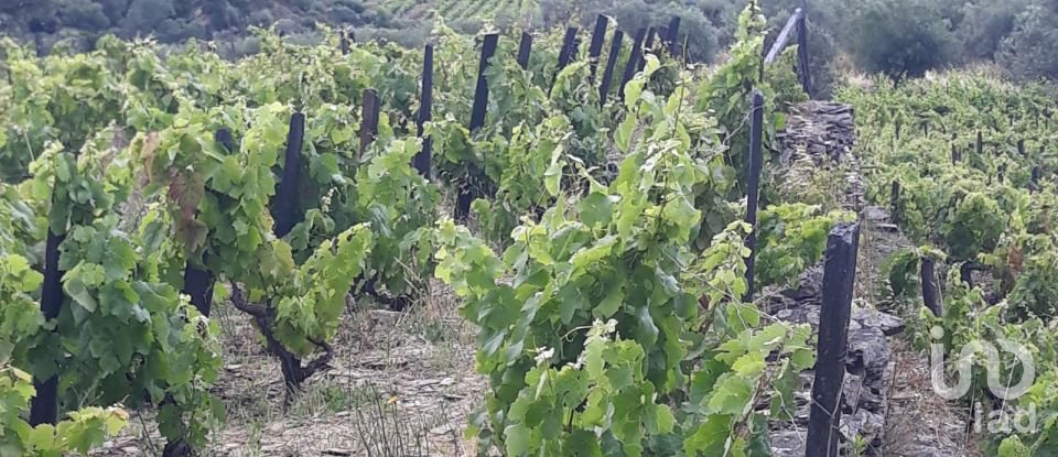 Terreno em Barcos e Santa Leocádia de 5 733 m²