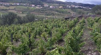 Terrain à Barcos e Santa Leocádia de 5 733 m²