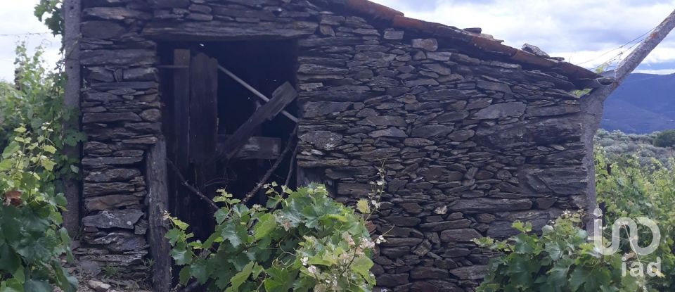 Terreno em Barcos e Santa Leocádia de 5 733 m²