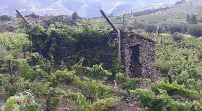 Terrain à Barcos e Santa Leocádia de 5 733 m²