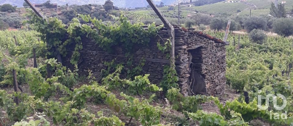 Terreno em Barcos e Santa Leocádia de 5 733 m²