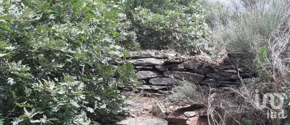 Terreno em Barcos e Santa Leocádia de 5 733 m²