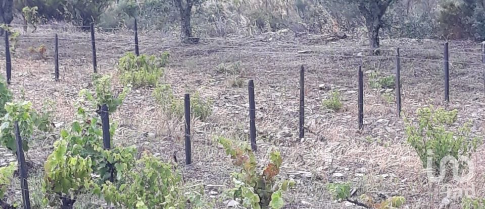 Terreno em Barcos e Santa Leocádia de 5 733 m²