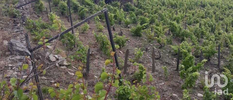 Terreno em Barcos e Santa Leocádia de 5 733 m²