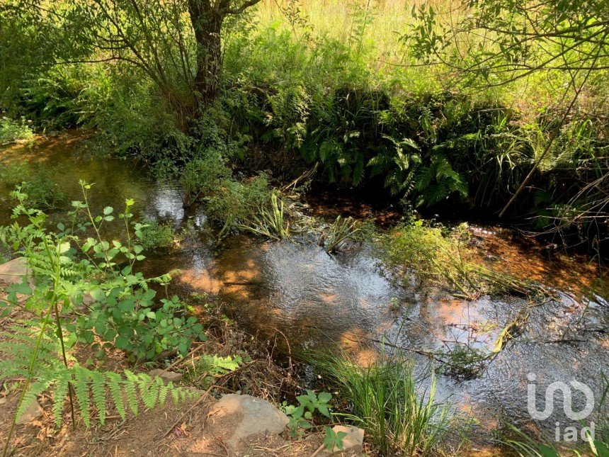 Terreno em Graça de 15 580 m²