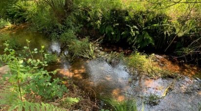 Terrain à Graça de 15 580 m²