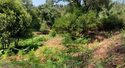 Terrain à Graça de 15 580 m²