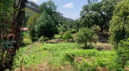 Terrain à Graça de 15 580 m²