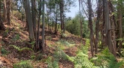 Terrain à Graça de 15 580 m²