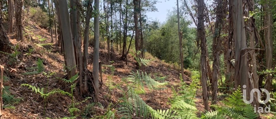 Terreno em Graça de 15 580 m²