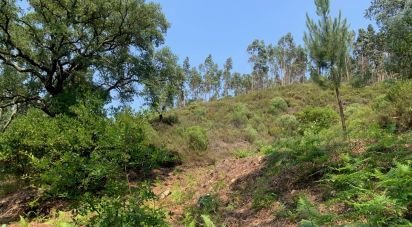 Terrain à Graça de 15 580 m²