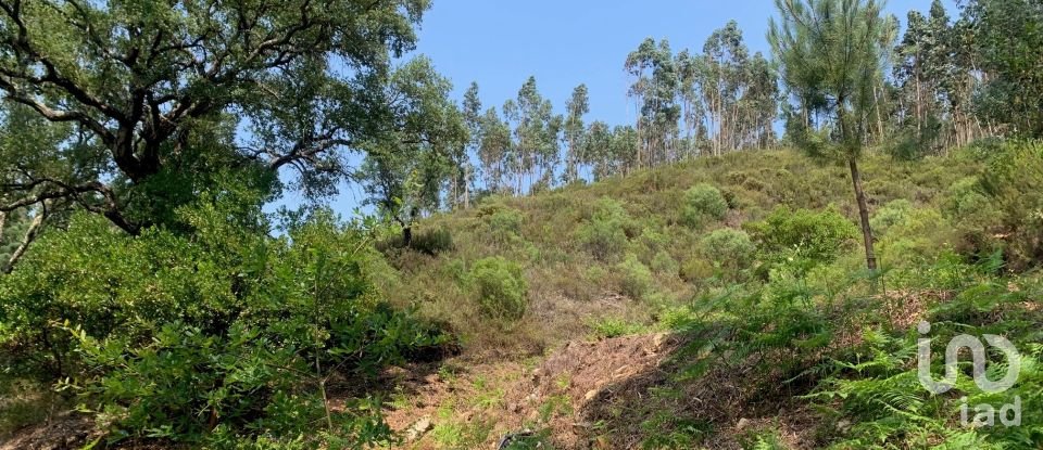 Terreno em Graça de 15 580 m²