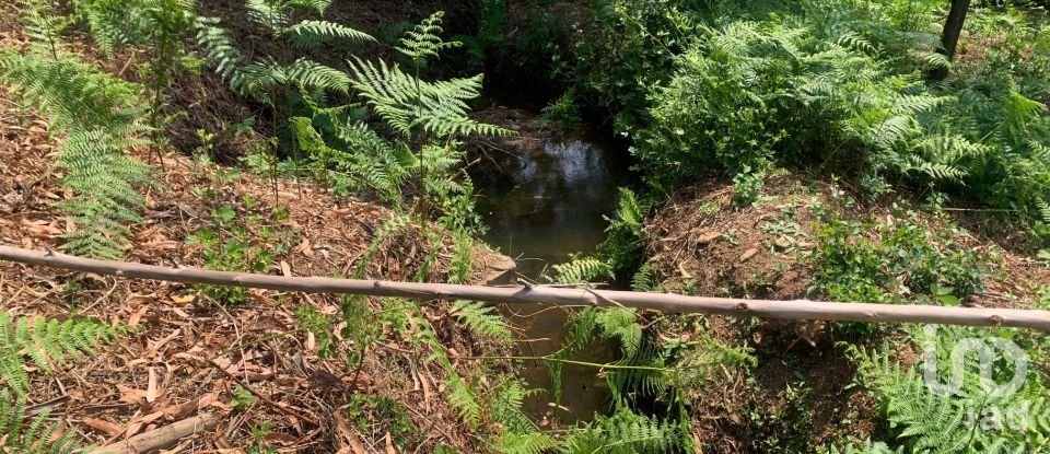 Terreno em Graça de 15 580 m²