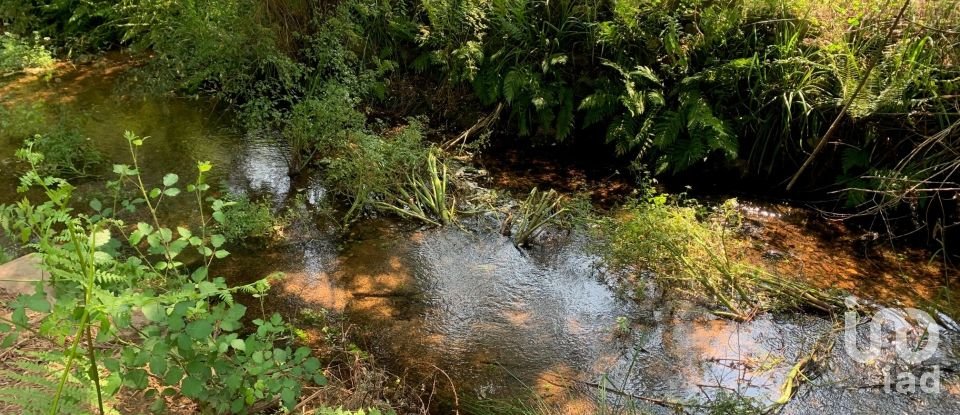 Terreno em Graça de 15 580 m²