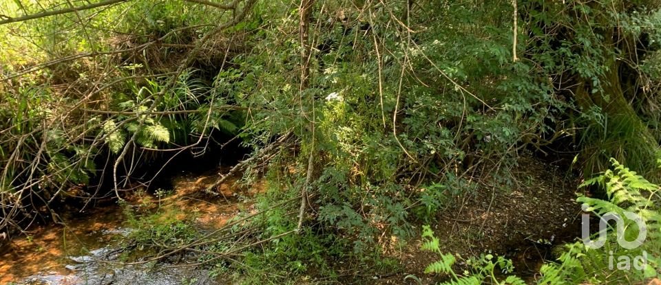 Terreno em Graça de 15 580 m²