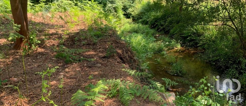 Terreno em Graça de 15 580 m²