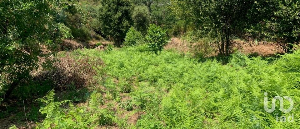 Terreno em Graça de 15 580 m²