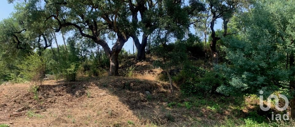 Terreno em Graça de 15 580 m²