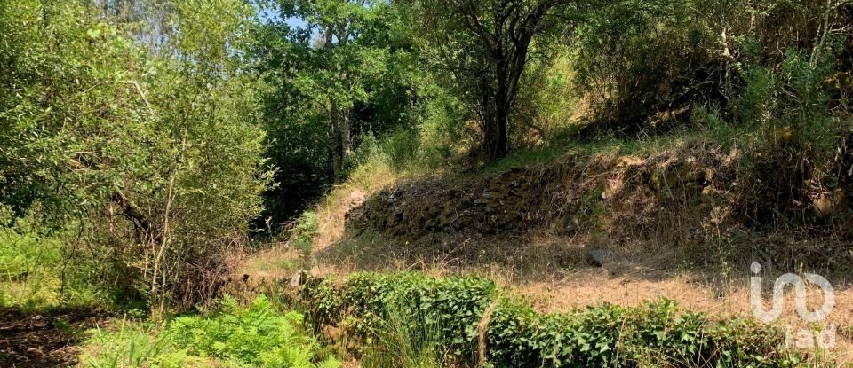 Terreno em Graça de 15 580 m²