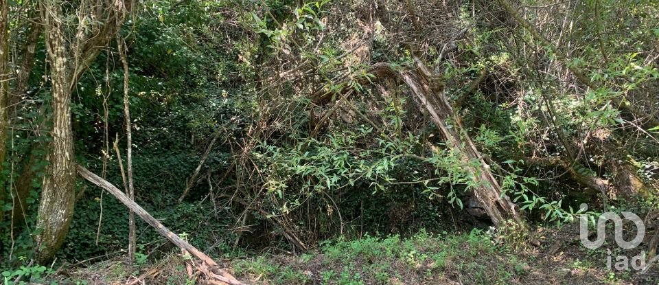 Terreno em Graça de 15 580 m²