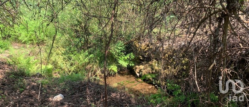 Terreno em Graça de 15 580 m²