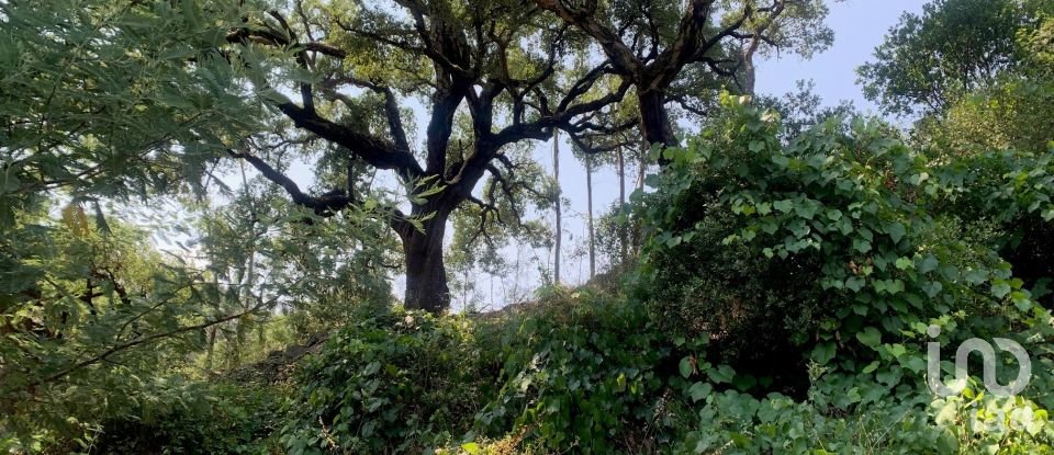 Terreno em Graça de 15 580 m²