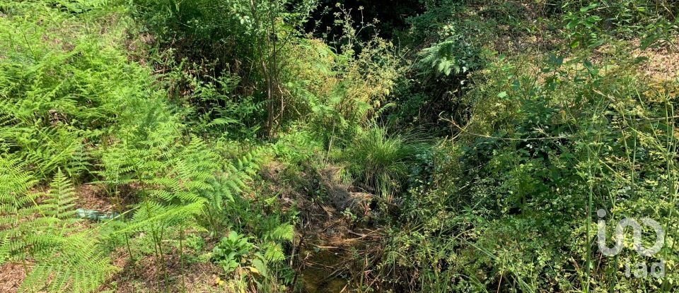 Terreno em Graça de 15 580 m²