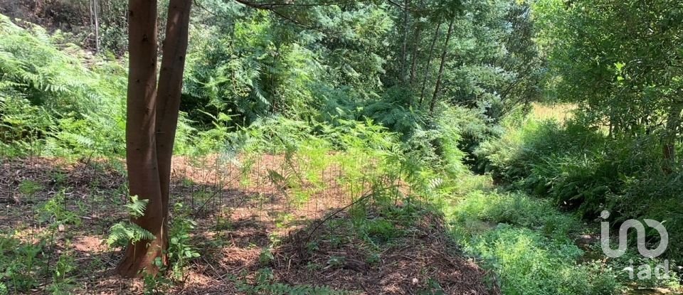 Terreno em Graça de 15 580 m²