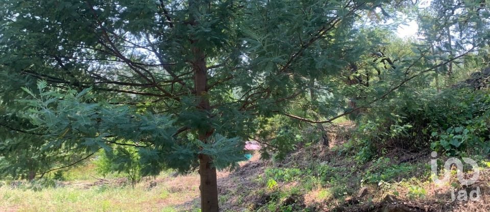 Terreno em Graça de 15 580 m²