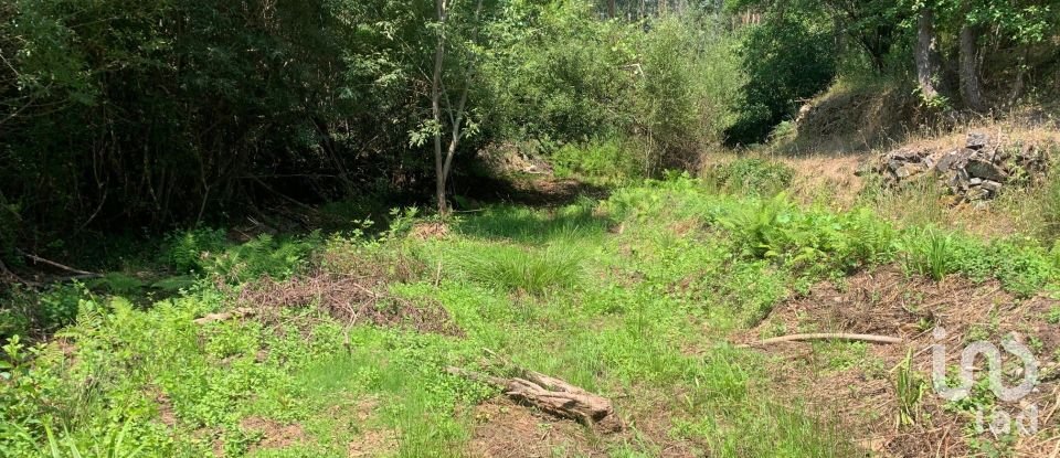 Terreno em Graça de 15 580 m²