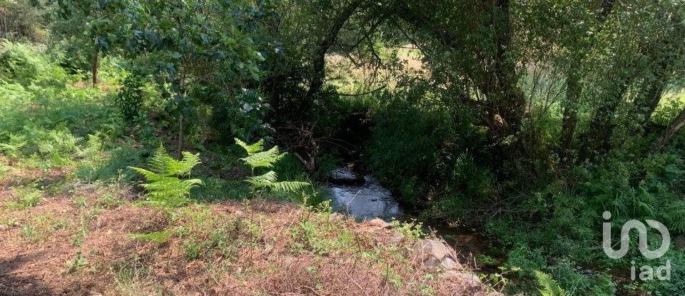 Terreno em Graça de 15 580 m²