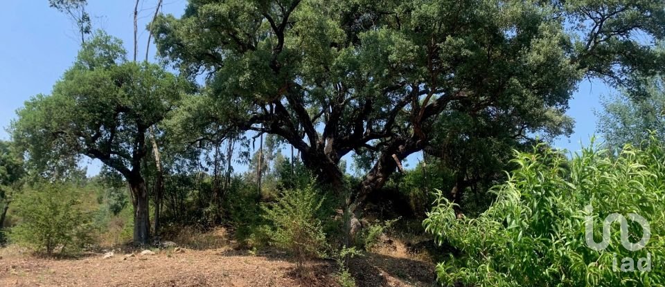 Terreno em Graça de 15 580 m²