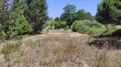 Terrain à Sesimbra (Castelo) de 7 209 m²