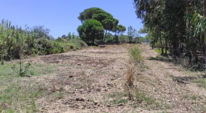 Terrain à Sesimbra (Castelo) de 7 209 m²