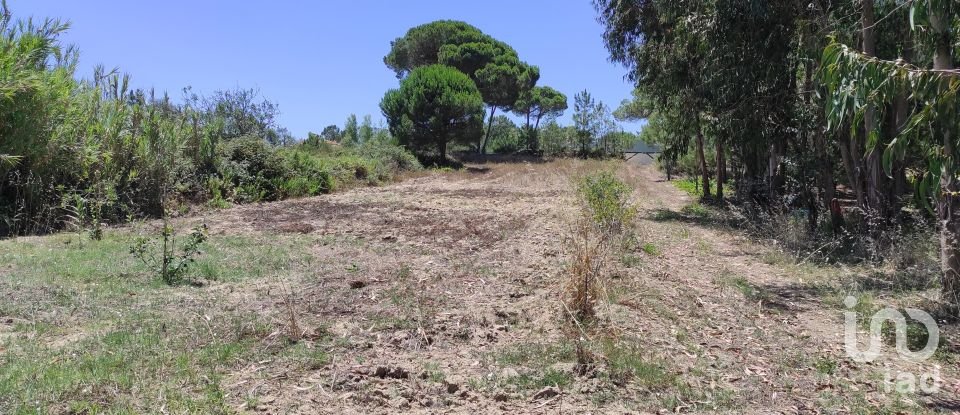 Land in Sesimbra (Castelo) of 7,209 m²